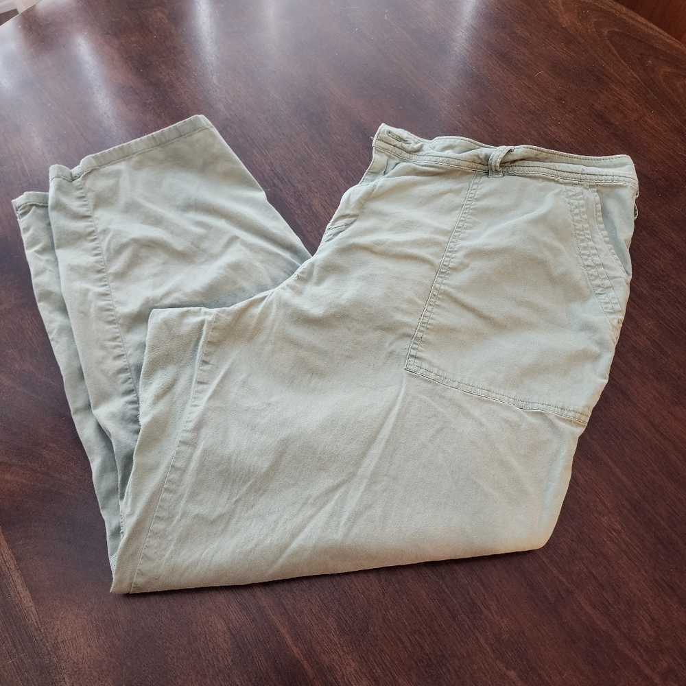 True Craft pants from Belk 22 (petite)